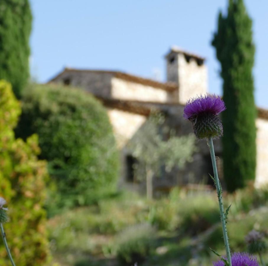 Hotel Domaine De La Xavoliere Saint-Cézaire-sur-Siagne Exteriér fotografie