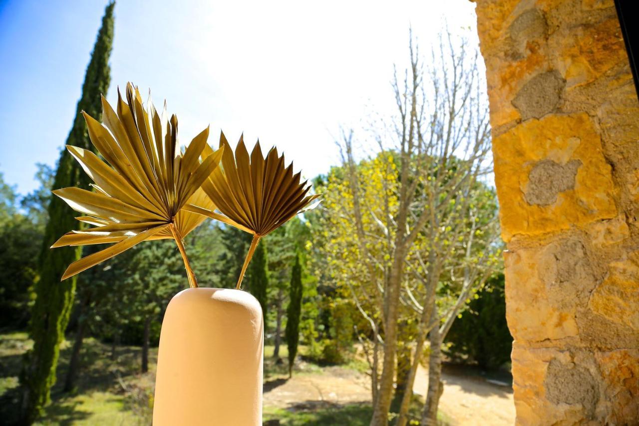 Hotel Domaine De La Xavoliere Saint-Cézaire-sur-Siagne Exteriér fotografie